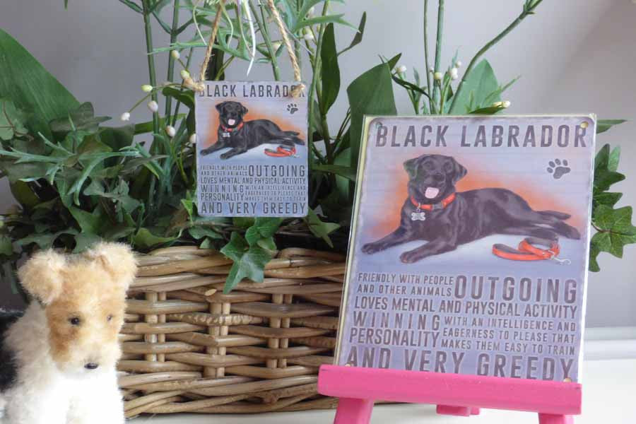 Black Labrador Metal Sign Mabel & Mu Mabel & Mu Ltd