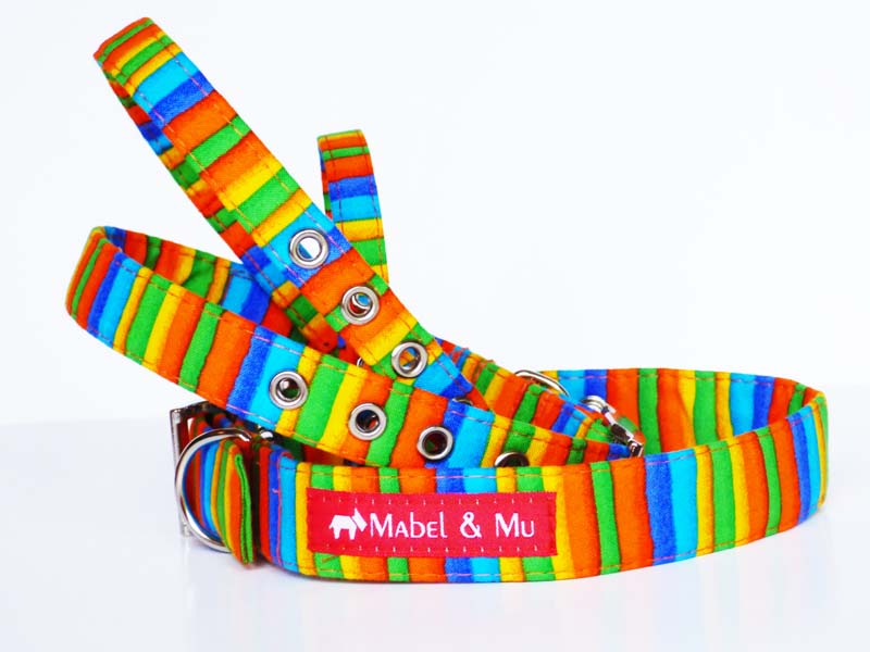 Rainbows Metal Dog Collar by Mabel & Mu