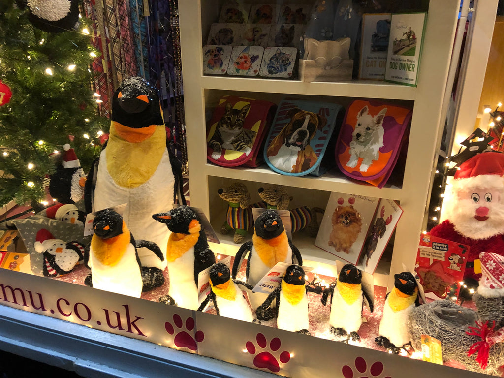Christmas Window done.... We are all Penguins !!!