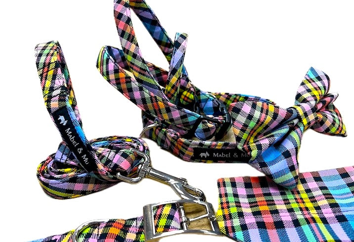 Dog & Cat Collar Range "Bentham Walks"