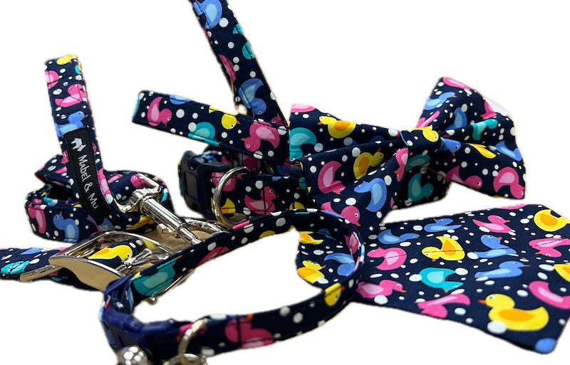 Dog & Cat Collar Range "Bathtime Bubbles"