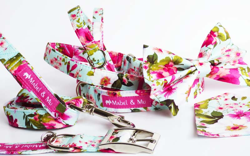 Designer Dog & Cat Collar Range "Orchid"