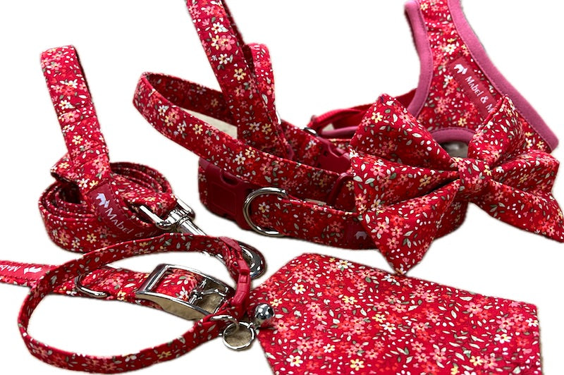 Designer Dog & Cat Collar Range "Disty Bitsy"