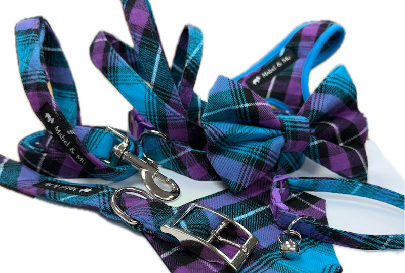 Dog & Cat Collar Range "Dragonfly Walks"