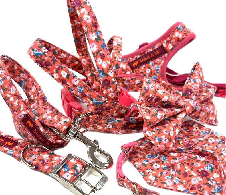 Designer Dog & Cat Range "Peach Melba"
