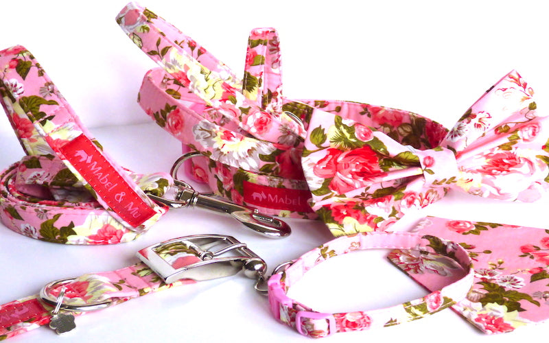 Designer Dog & Cat Collar Colletion "Carnation"