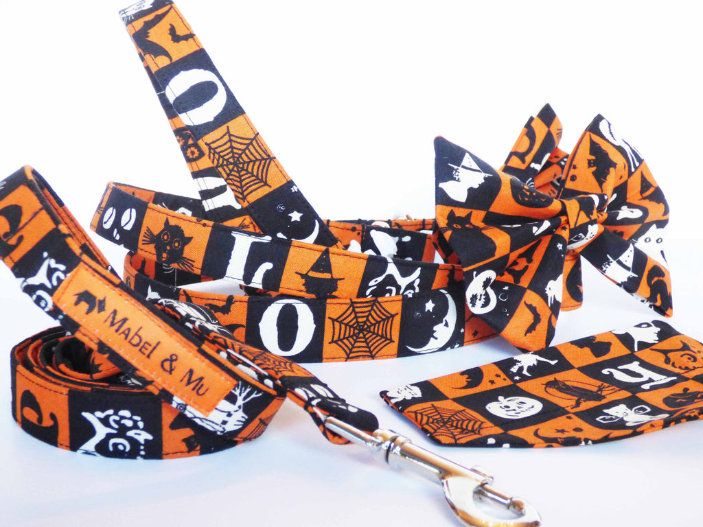 Designer Dog Collar Range "Spookie"