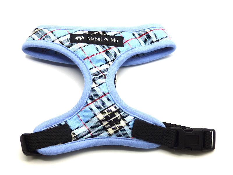 Baby Blue Designer Harness