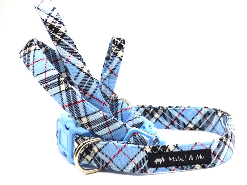 Baby Blue Designer Dog Collar by Mabel & Mu