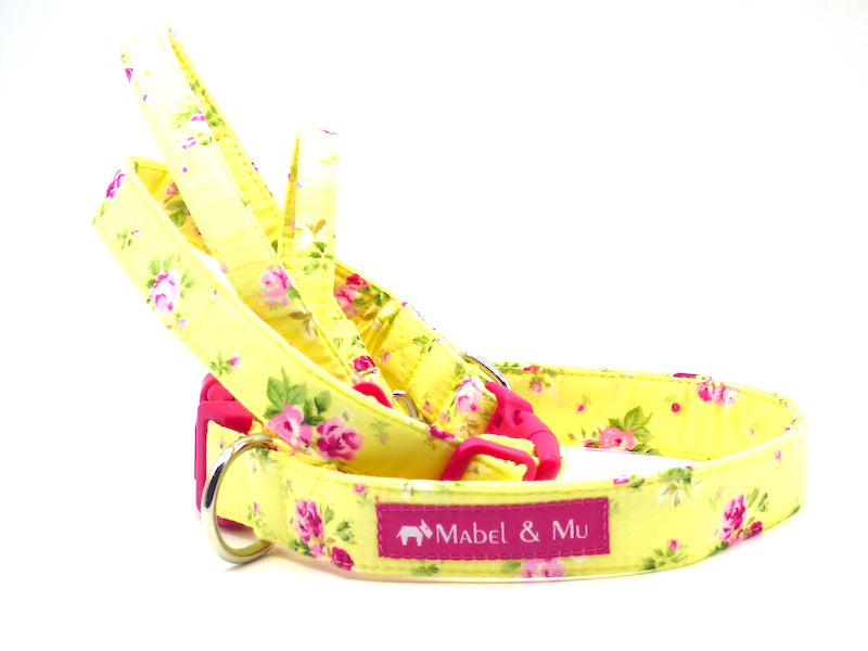 Designer Dog Collar "Lemon Meringue" by Mabel & Mu