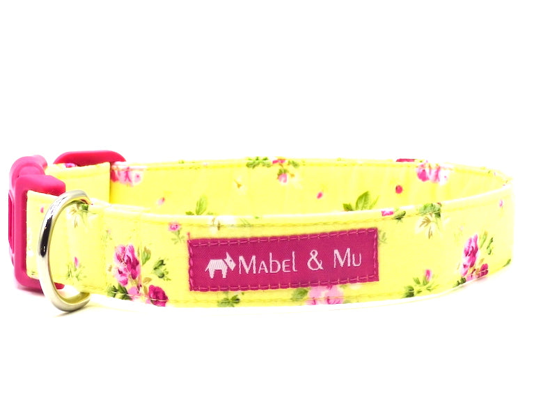 Designer Dog Collar "Lemon Meringue" by Mabel & Mu
