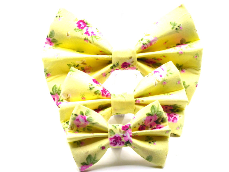Designer Dog Bow Tie "Lemon Meringue" by Mable & Mu