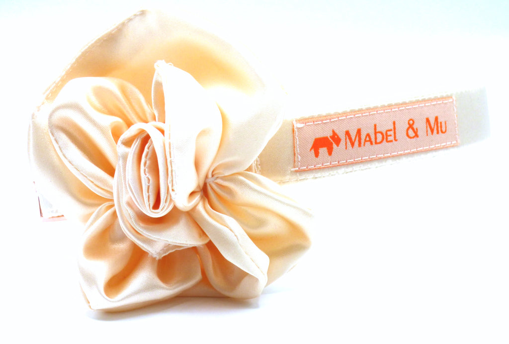Bridal Dog Collar Flower "Oyster" by Mabel & Mu