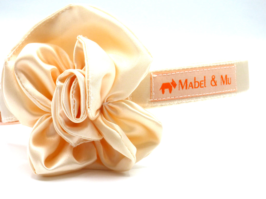 Bridal Dog Collar Flower "Oyster" by Mabel & Mu