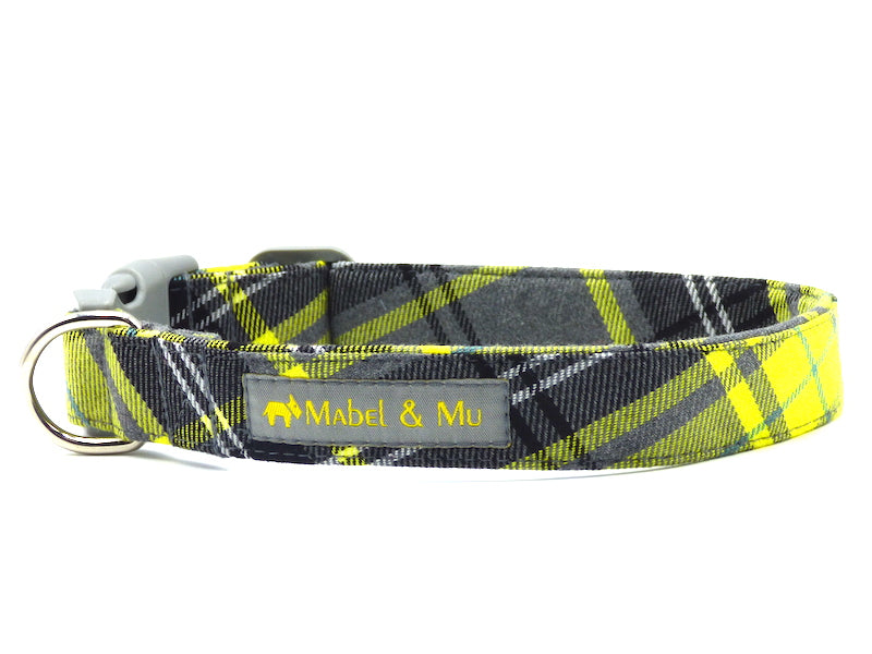 Designer Dog Collar "Buttercup Walks" buy Mabel & Mu