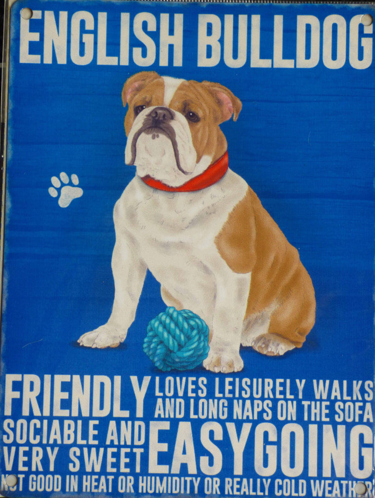 English Bulldog Metal Sign - Mabel & Mu