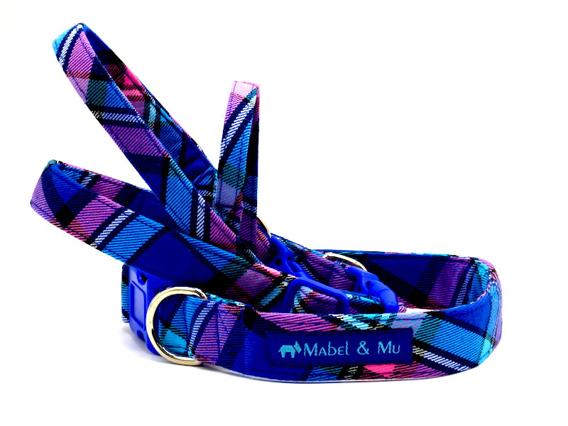 Dog Collar "Mixed Walks" by Mabel & Mu