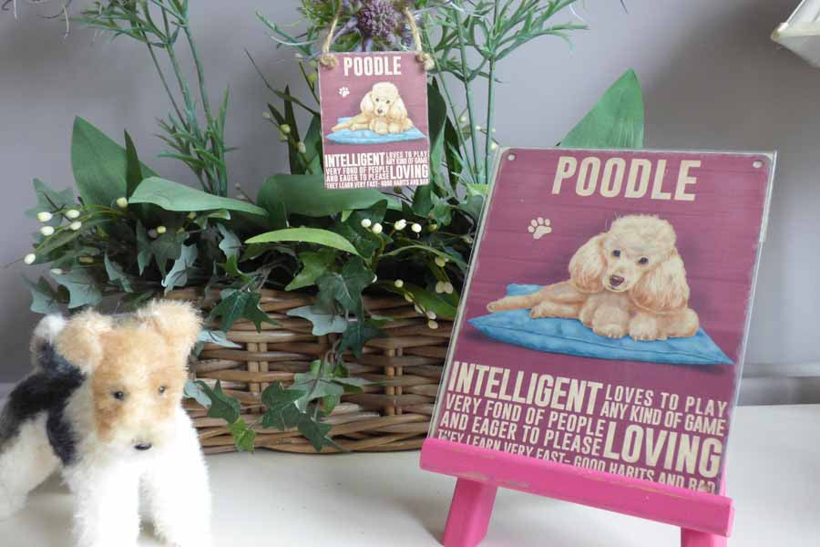 Poodle Cream Metal Sign - Mabel & Mu