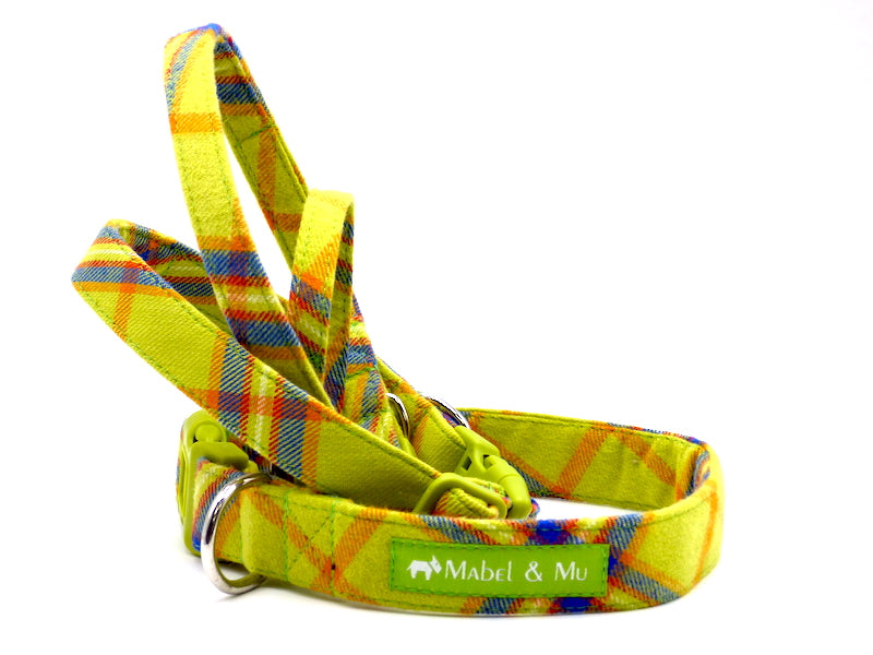 Designer Dog Collar "Golfing Walks" by Mabel & Mu