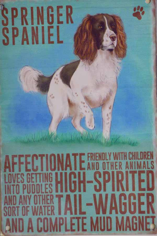 Springer Spaniel Metal Pet Sign - Mabel & Mu