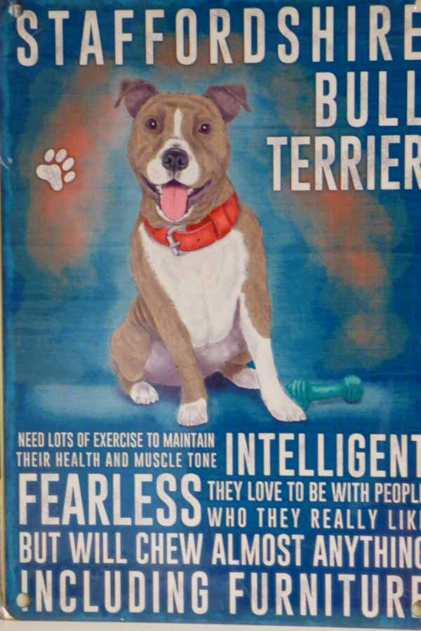 Staffordshire Bull Terrier Metal Pet Sign - Mabel & Mu